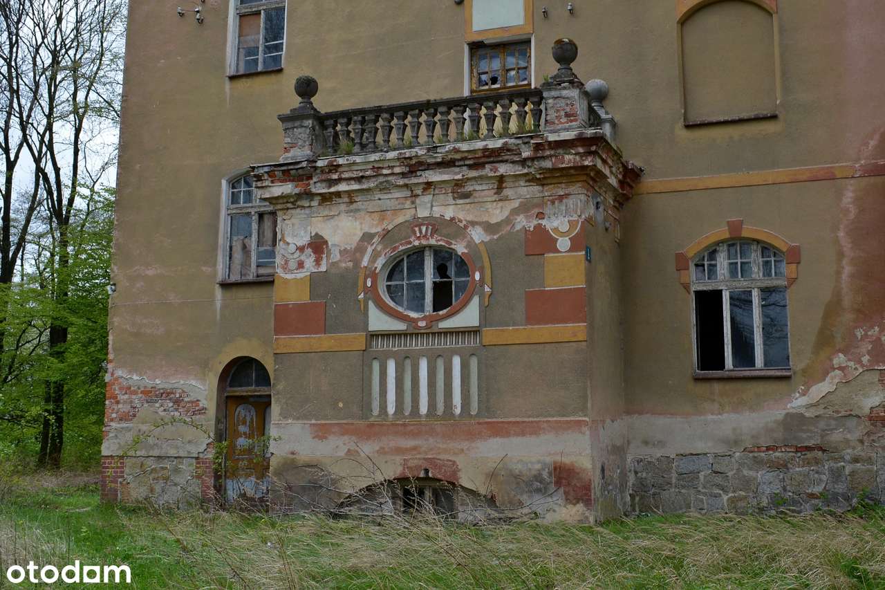 Udanin, Piękny stuletni park z przedwojenną willą - Pełny obrazek: 5/17