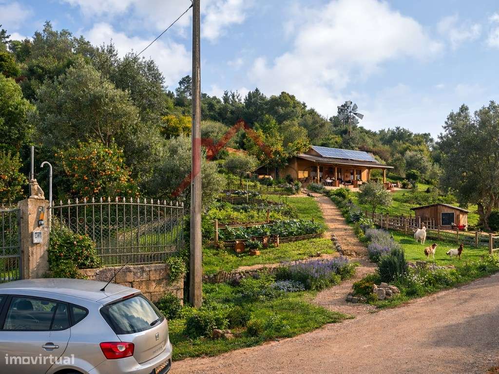 Terreno Natural Mexilhoeira Grande. - Grande imagem: 4/4