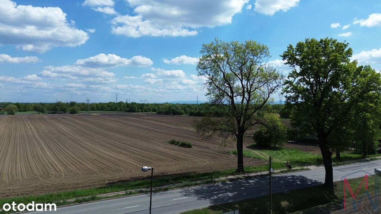 Działka usługowo- rolna Kopciowice gmina Chełm Śląski-5