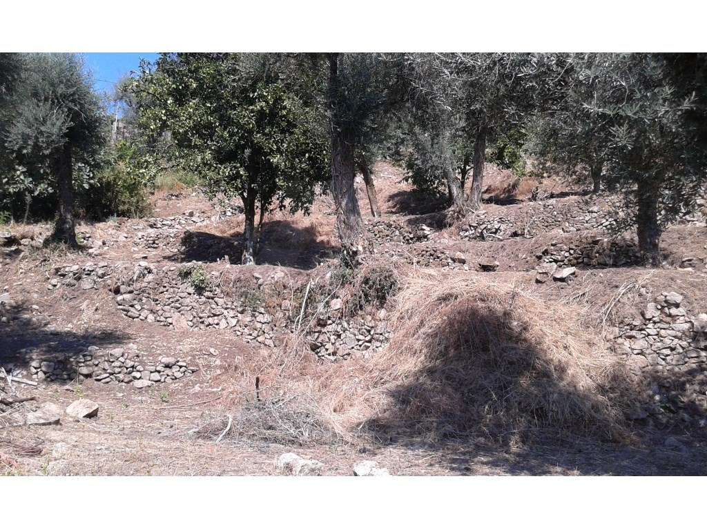 Terreno para construção na Facha - Grande imagem: 3/4