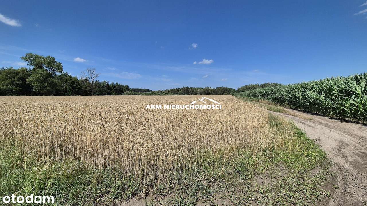 Działka pod zabudowę niedaleko Iławy - Pełny obrazek: 5/10