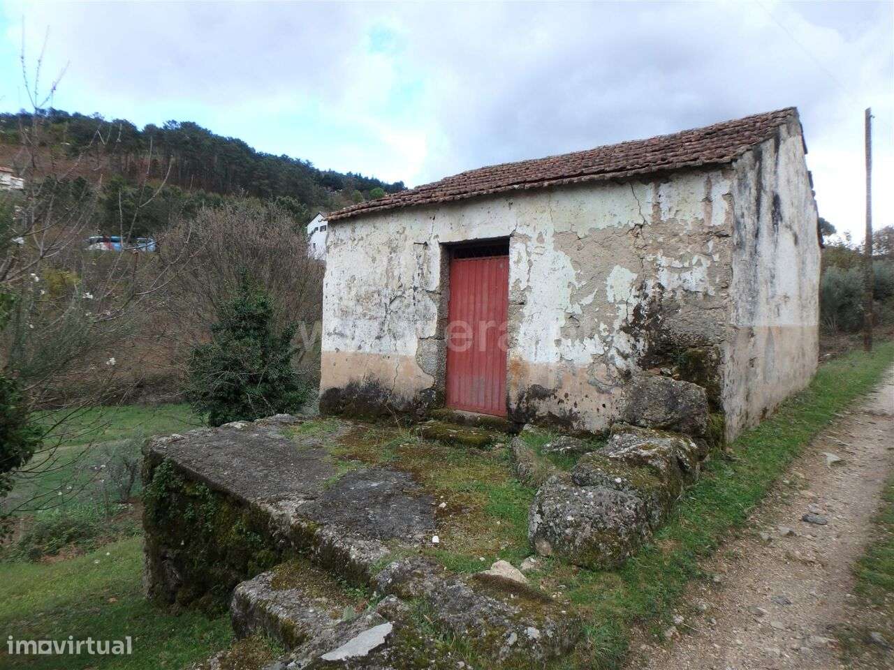 Quinta / Seia, São Romão - Grande imagem: 3/19