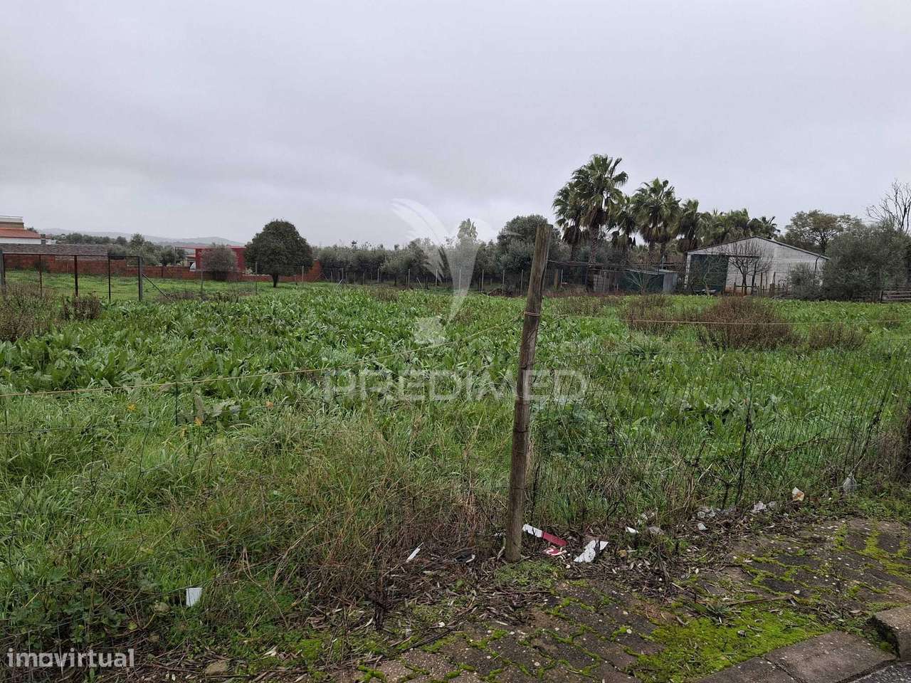 Oportunidade Única no Alandroal: Terreno com 587,20 m² para Construção - Grande imagem: 4/4