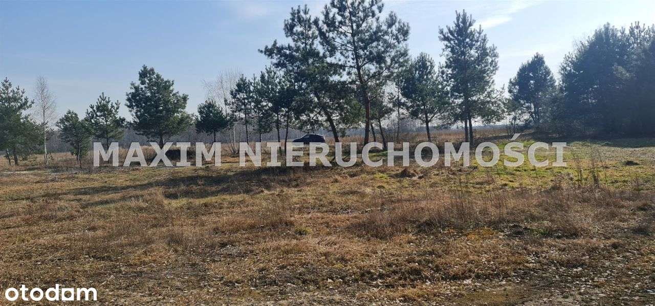 Działki budowlane z wodą i kanaliz. pod lasem - Pełny obrazek: 4/17