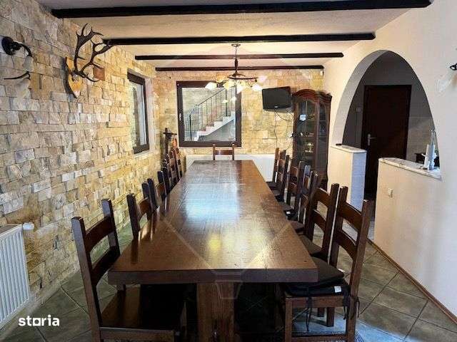 Vila si casa de vacanta Sibiel - Imagine principală: 5/18