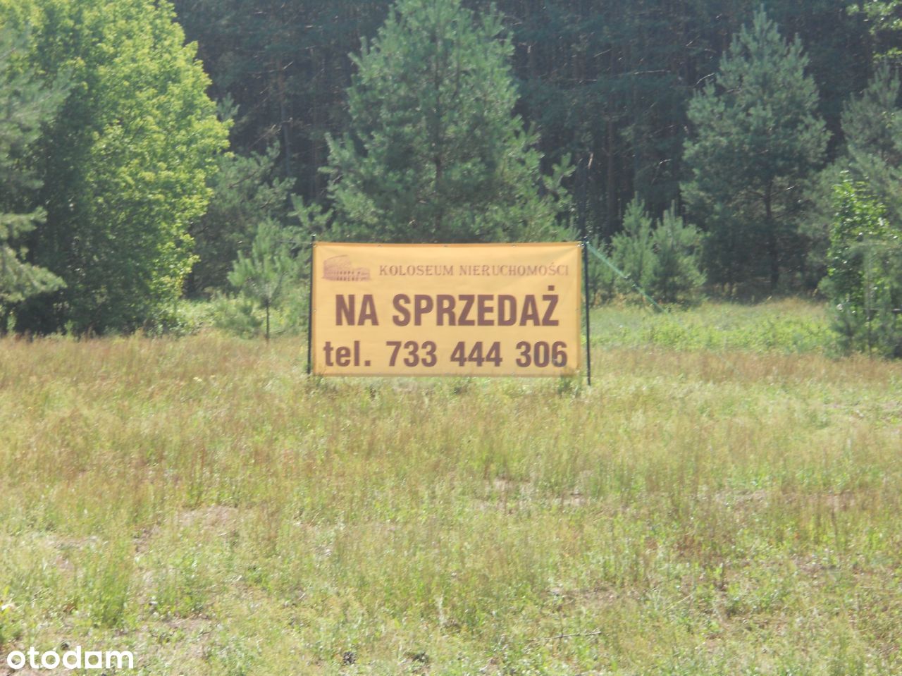 Obrowo pow. toruński, działka leśna 3700m2