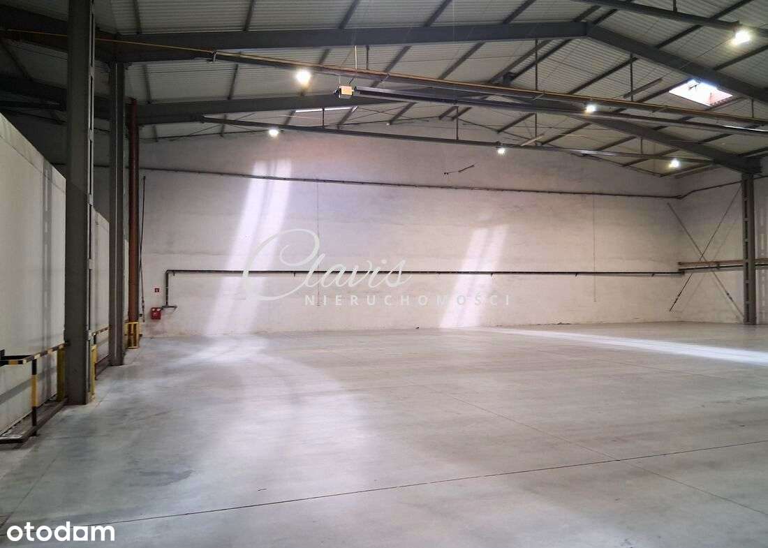 Powierzchnia magazynowa z możliwością najmu biura - Pełny obrazek: 2/11