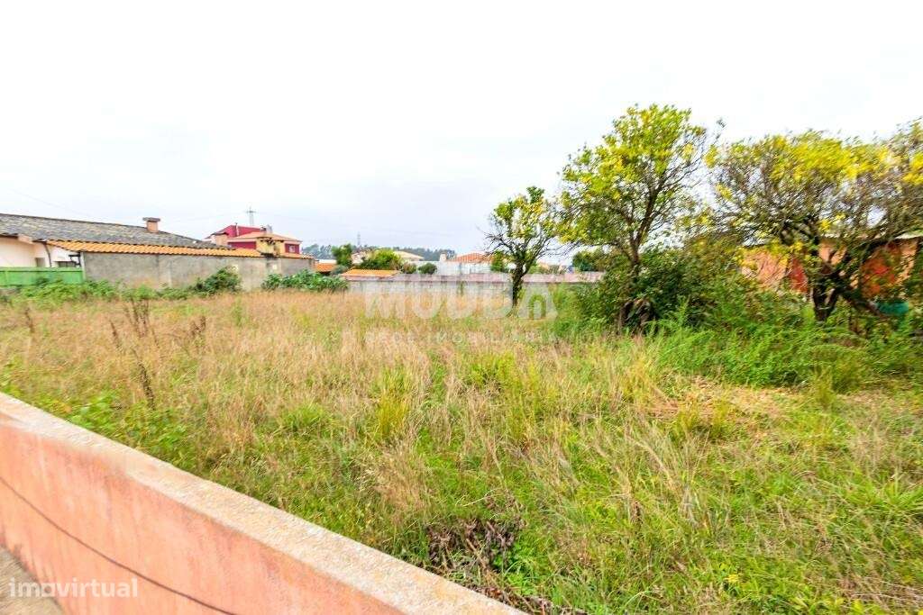 Moradia T3 São João de Ovar - Grande imagem: 3/33