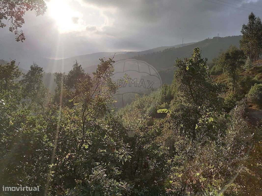 Terreno  para venda - Grande imagem: 5/15