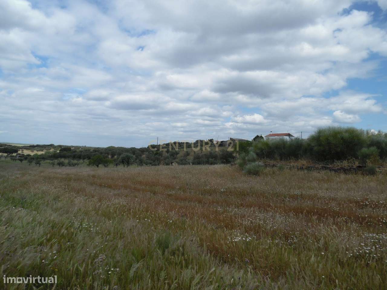 Quinta em Capelins,  Alandroal - Évora,  Oportunidade Única-31