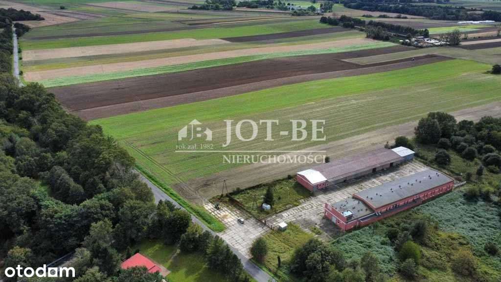 Gotowa Hala i magazyn 2300mkw z działką 8600m2 - Pełny obrazek: 5/20