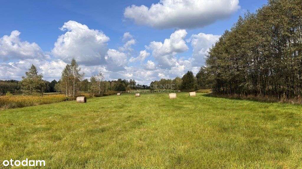 Działka, 948 m², Jodłówka - Pełny obrazek: 4/6