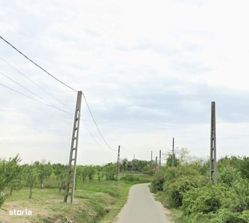 TEREN POIANA LACULUI - Imagine principală: 4/4