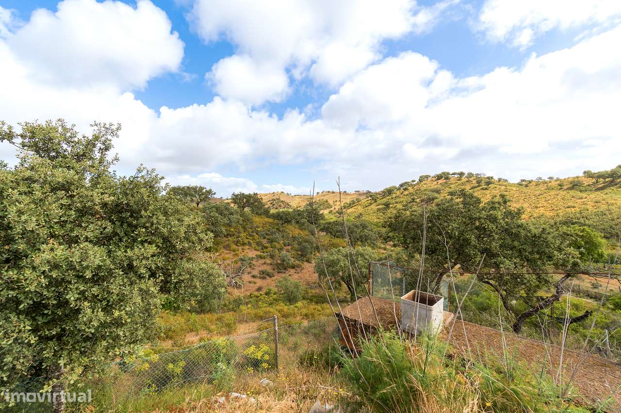Quinta Autónoma no Alentejo-18