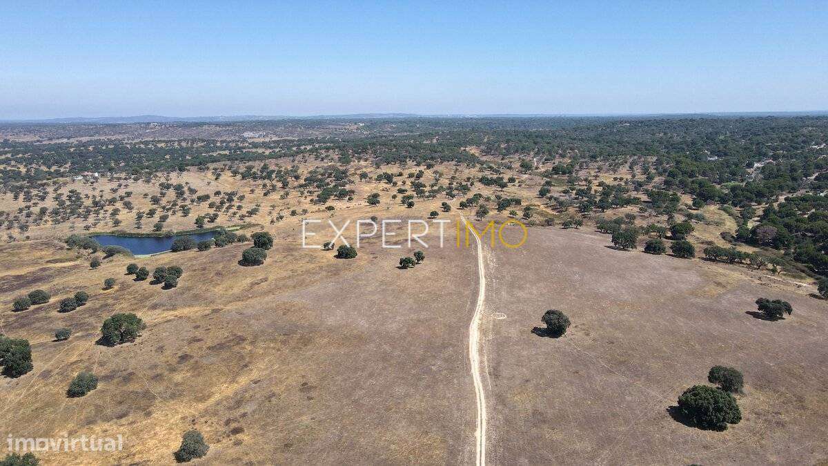 Herdade com 81,79 ha - Mora-6