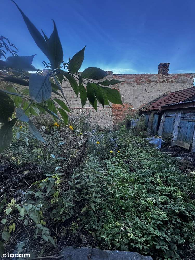 Na sprzedaż Kamienica w Świeciu!-13