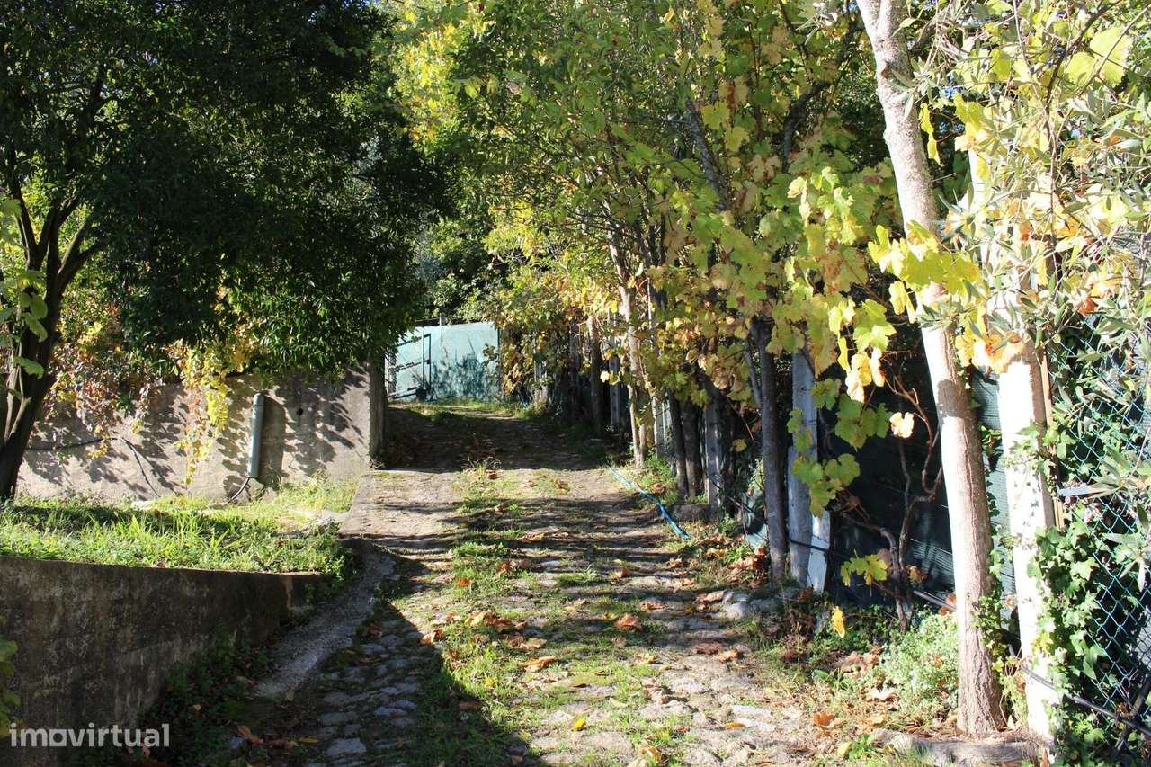 Venda Quinta Cinfães com 7500 m2 excelentes vistas Douro - Grande imagem: 5/41