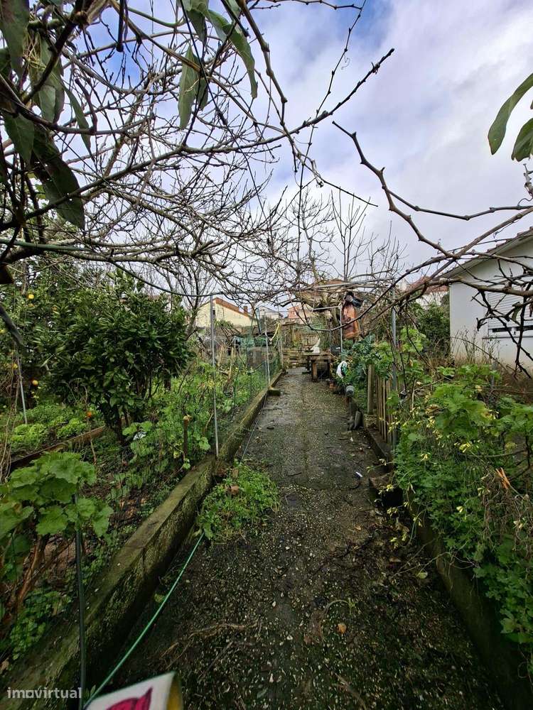 Moradia T4 C/ 1200m2 - Para Remodelação-11