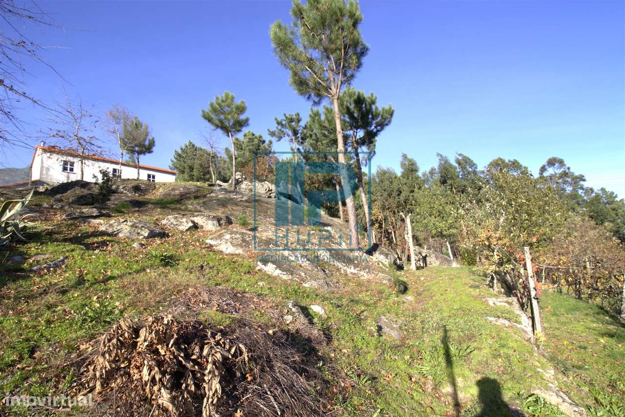 Quinta T3+1 Venda em Penhalonga e Paços de Gaiolo,Marco de Canaveses-27