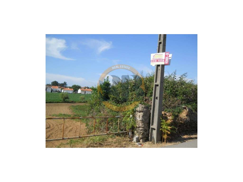 Terreno Construção Arada - Grande imagem: 4/8