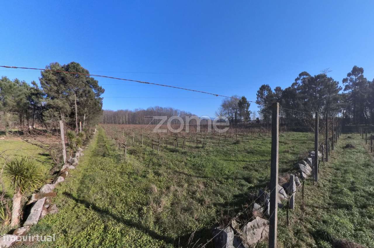 Quinta Agrícola 13300m2 em Barreiros, Amares - Grande imagem: 4/21