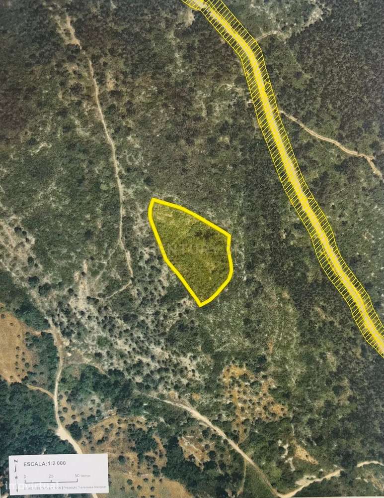 TERRENO RÚSTICO - Minde, Alcanena - Grande imagem: 3/4