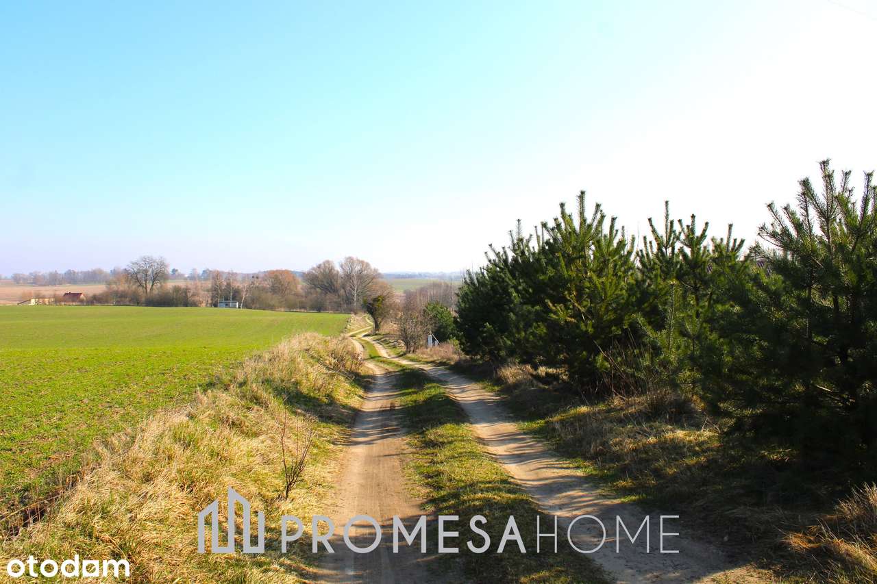 Karczewko działki budowl MPZP media blisko lasu jeziora 70zł/m2 brutto-3