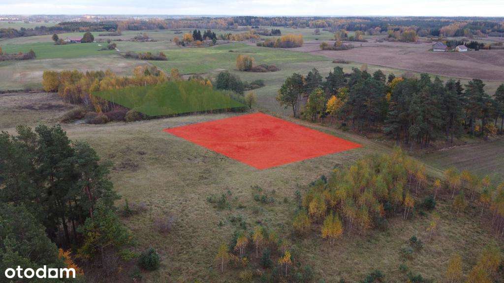 DĄBRÓWKA WIELKA, GMINA DYWITY, DZIAŁKA ROLNA, 146/ - Pełny obrazek: 1/3