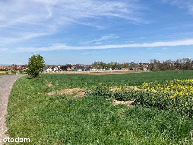 Działka budowlana pod Głogowem Kurowice Modła-10