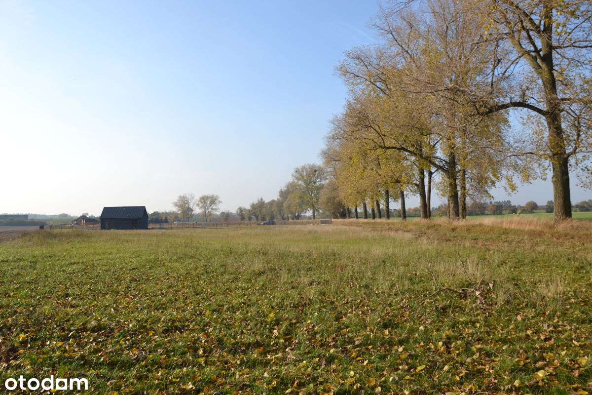 Cena od 60 zł/m2. Działki przy jeziorze. - Pełny obrazek: 4/7