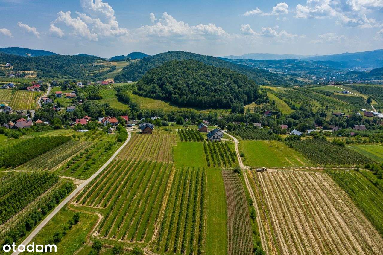 Działka widokowa Wola Kosnowa - Pełny obrazek: 4/9