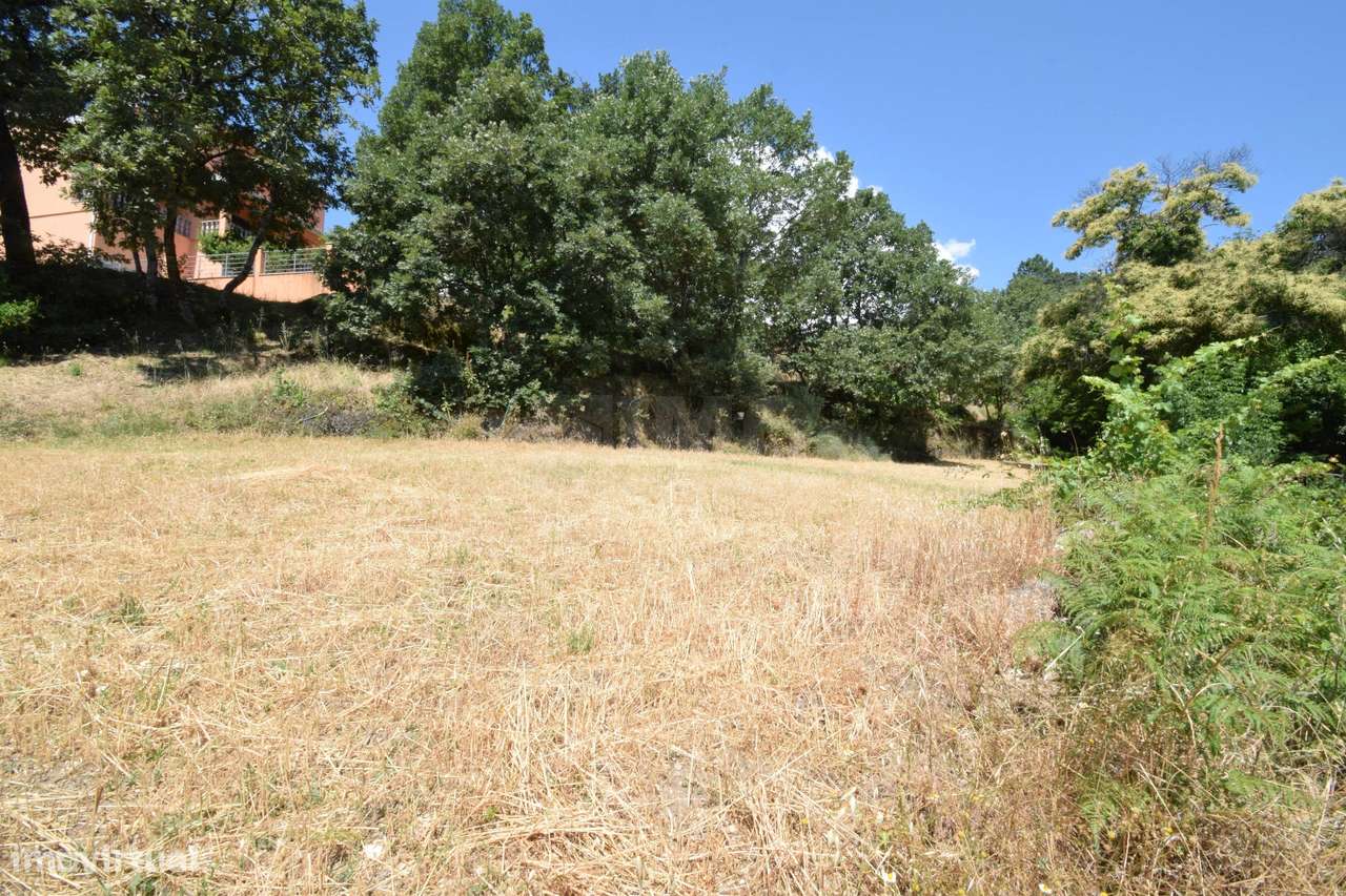 Terreno com 4.522 m² e Viabilidade de Construção - Vila do Carvalho-23