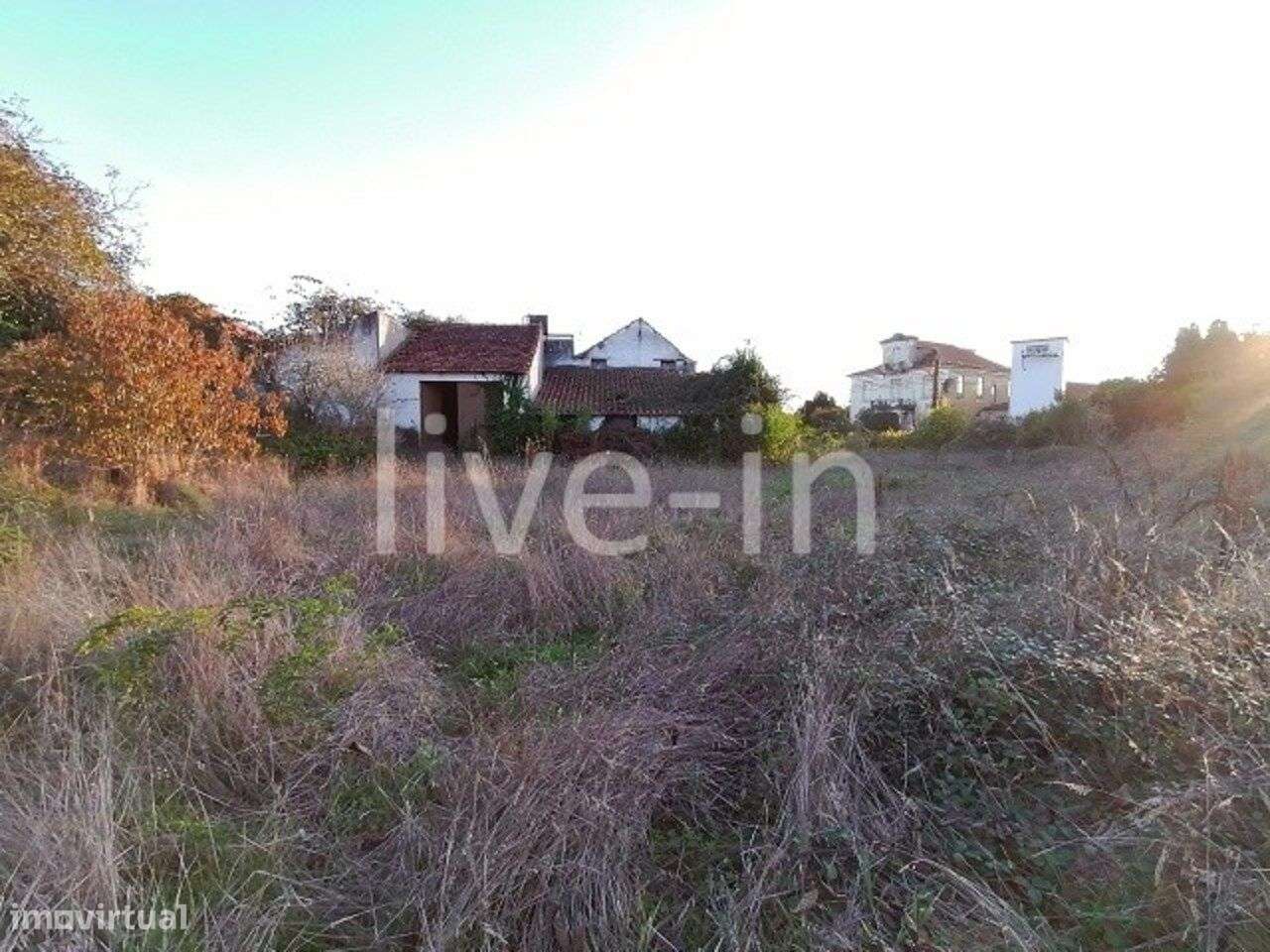 Terreno para venda em Oliveirinha-10