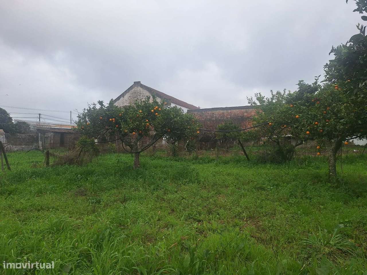 Edificio urbano - Antiga fábrica de cortiça em São Brás de Alportel-13