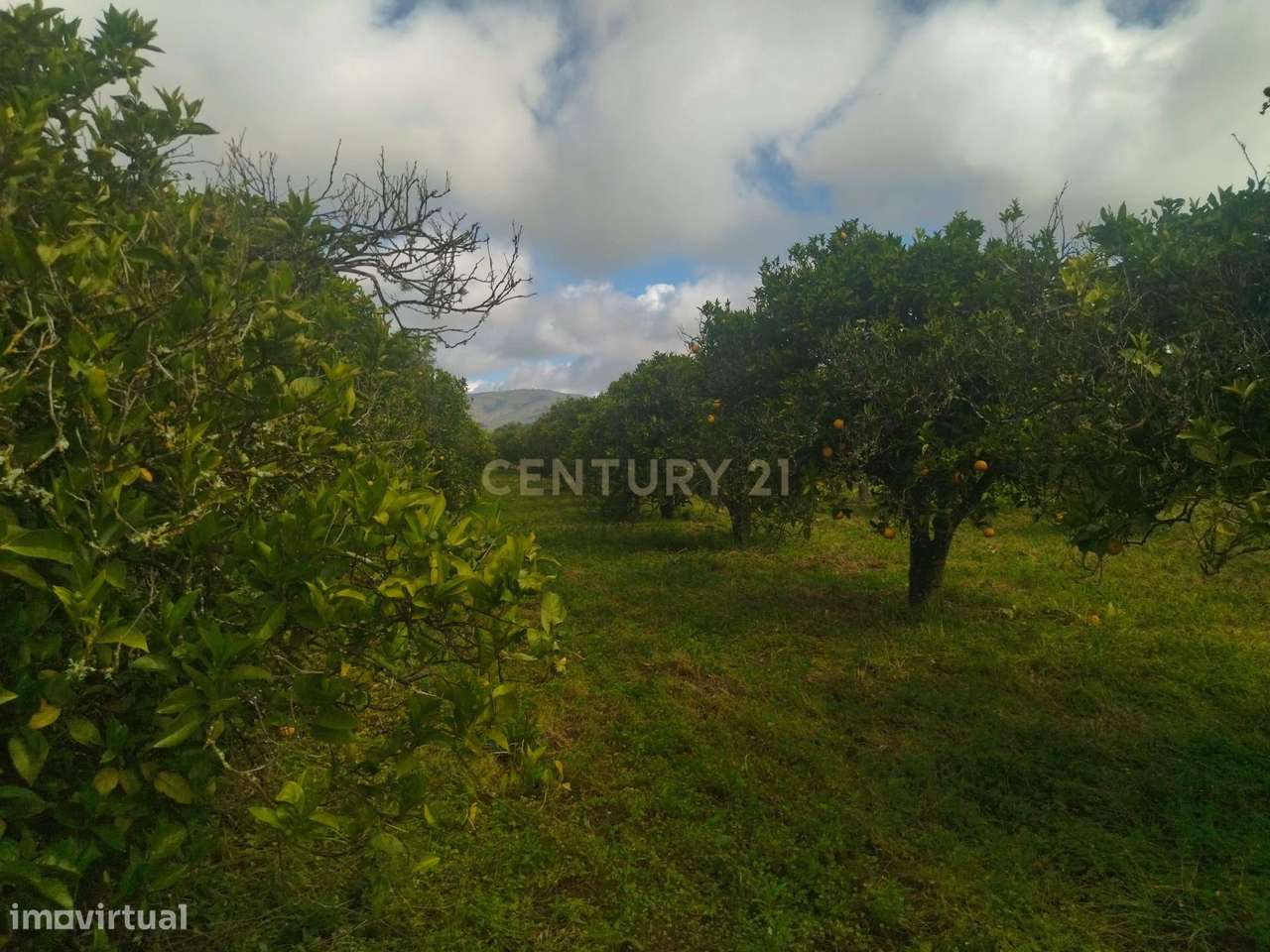 Terreno Rústico á Venda em Quelfes -  Algarve, 5560m2,  85,000€ - Grande imagem: 2/11