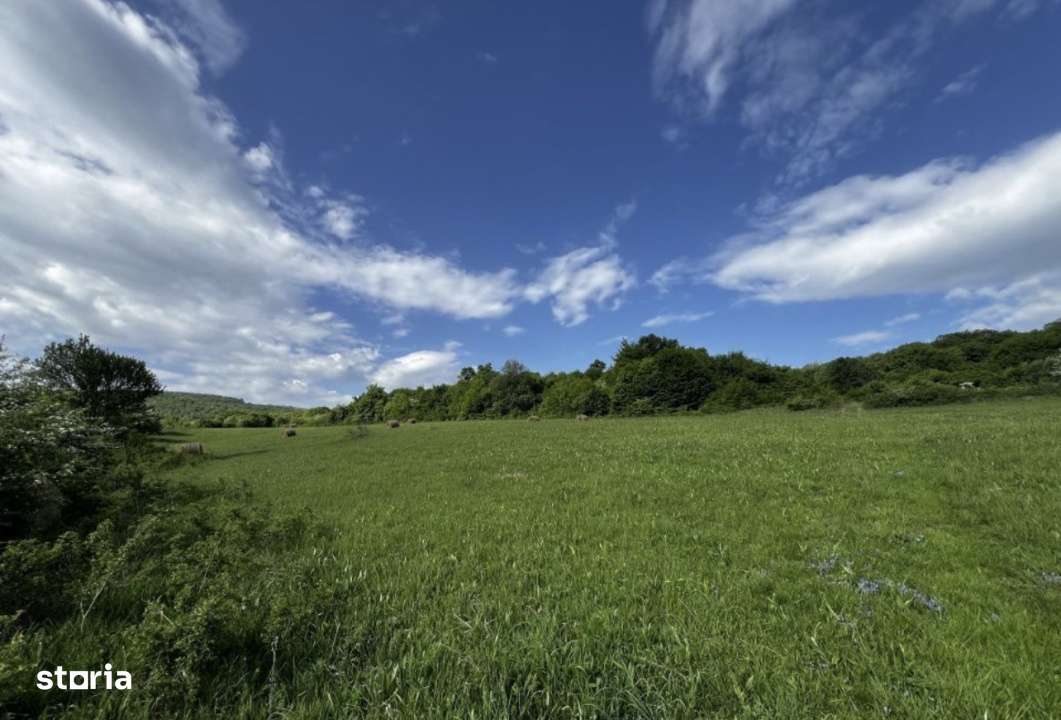 Teren intravilan, 3800 mp, zona Valea Garbaului - Imagine principală: 1/1