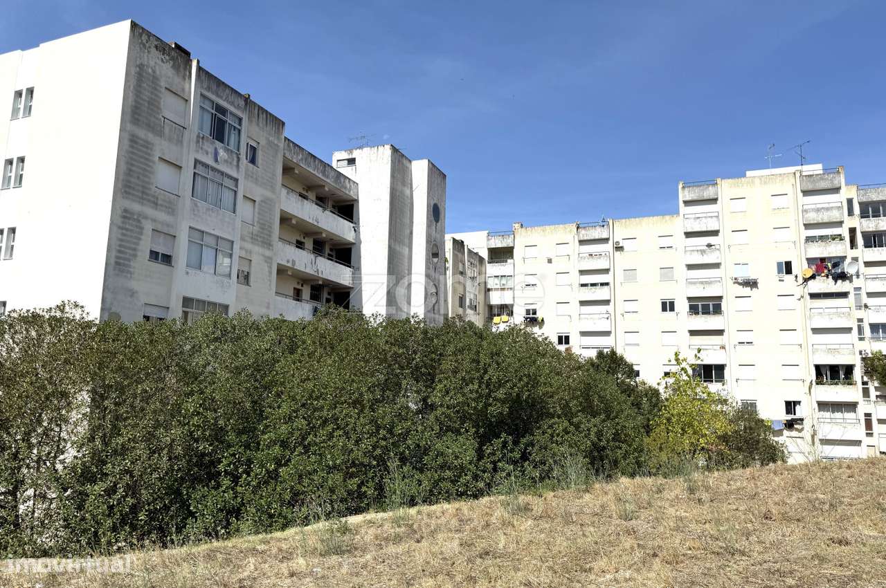 T1 para investimento em Santarém-11