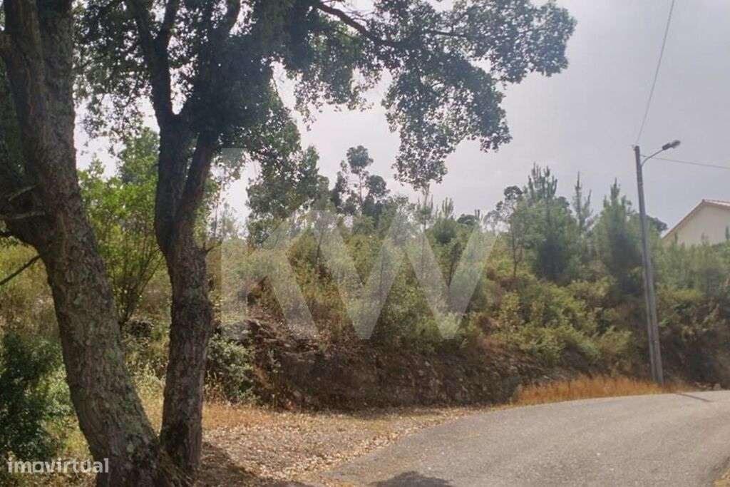 Terreno 4320 m2 Urbanizável - Entrevinhas, Sardoal - Grande imagem: 4/12