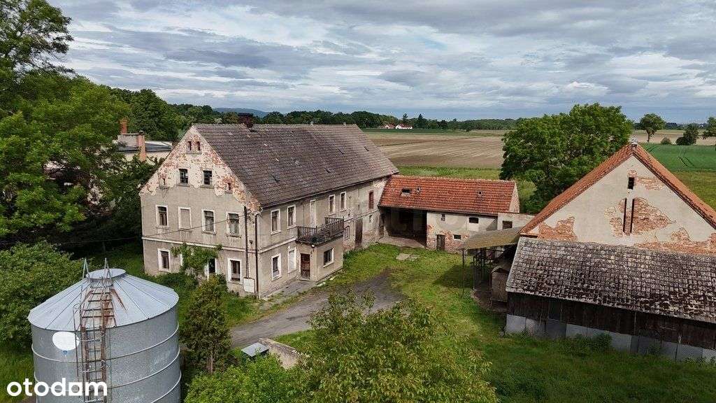 Do sprzedania dworek/gospodarstwo! Duża działka! - Pełny obrazek: 4/14