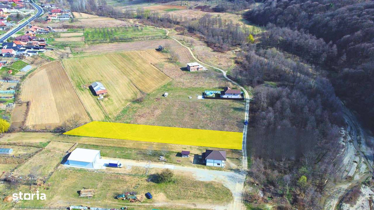 Budesti - Teren 2250 mp-7