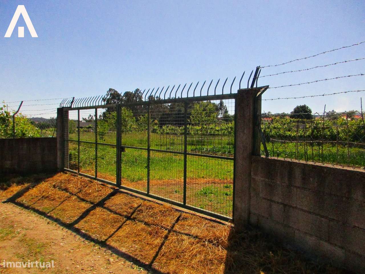 Terreno construção em V.F.S. Pedro - Grande imagem: 4/6