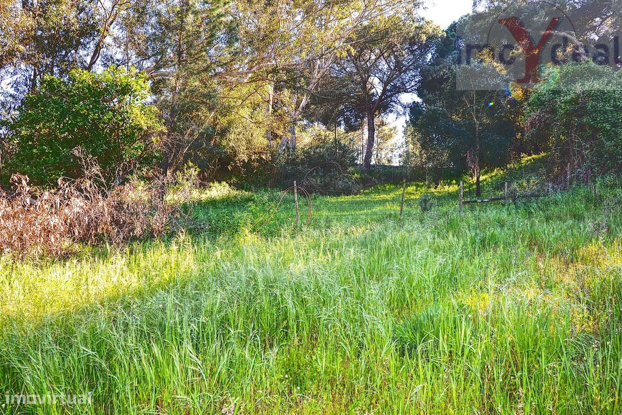 Quinta em Melides-12