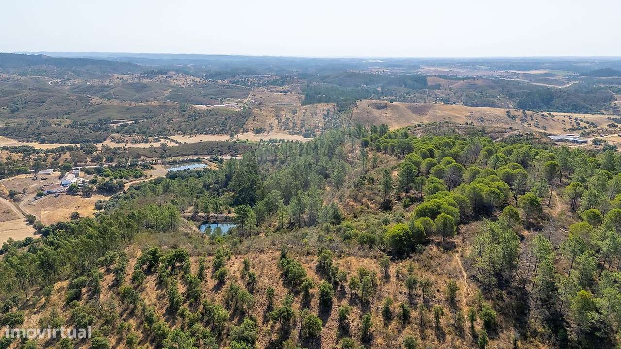 Quinta T4 para venda-14