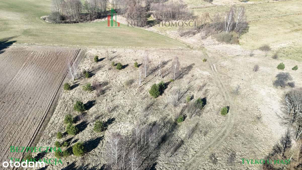 Działki budowlane na Kaszubach – Stara Kiszewa - Pełny obrazek: 5/14