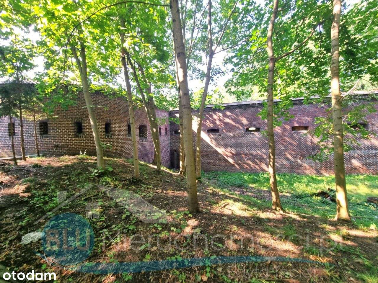 Głogów, Grodziec Mały,  Fortyfikacja , Fort Luneta - Pełny obrazek: 5/11