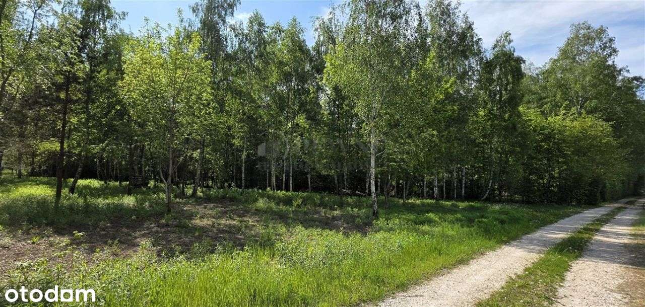 2385 m² Ostatnia Taka Malownicza, Budowlana!!!-1