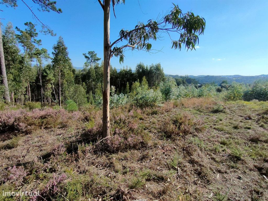 Terreno para construção, Almalaguês