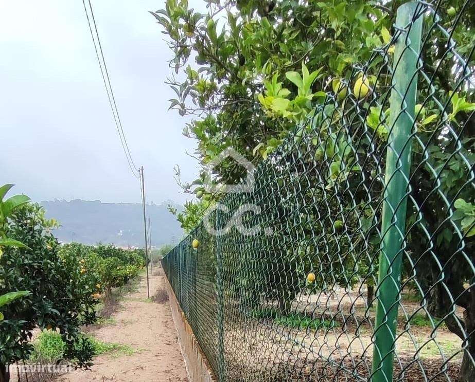 Terreno para construção com 7.415 m² em Cabanas, Quinta do Anjo, Palme-9