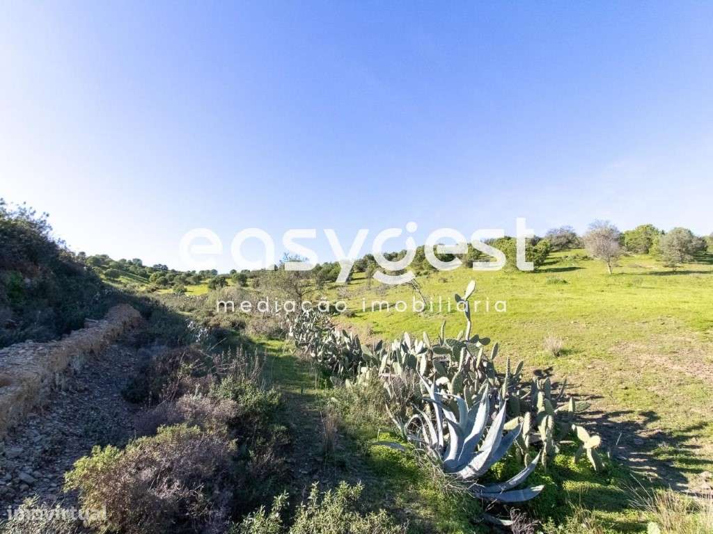 Lote de Terreno Rustico para cultura de sequeiro nas Fontainhas - Grande imagem: 3/14