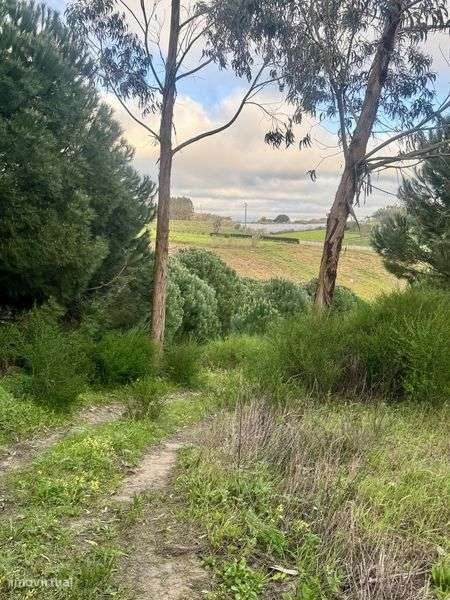 Quintinha com  15.000 m2 - Grande imagem: 2/12